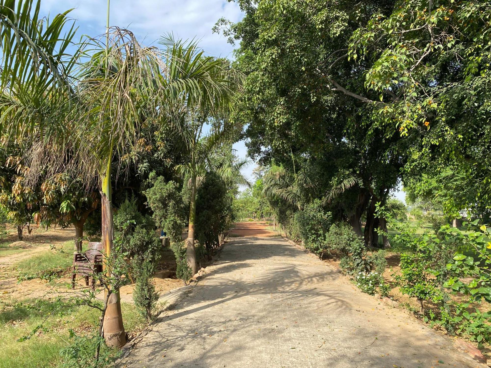 הוילה גורגאון Orchard At Sarai מראה חיצוני תמונה